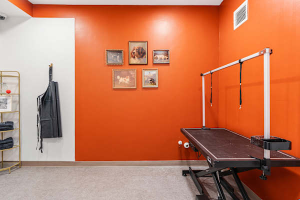 A room with orange walls and a table with a black cloth on it. at The Revival, Salt Lake City, UT